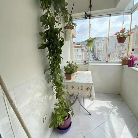 Fevzi Cakmak Mah Kaynarca Sk Diskapino: 11 Daire:0005 Bahcelievler *